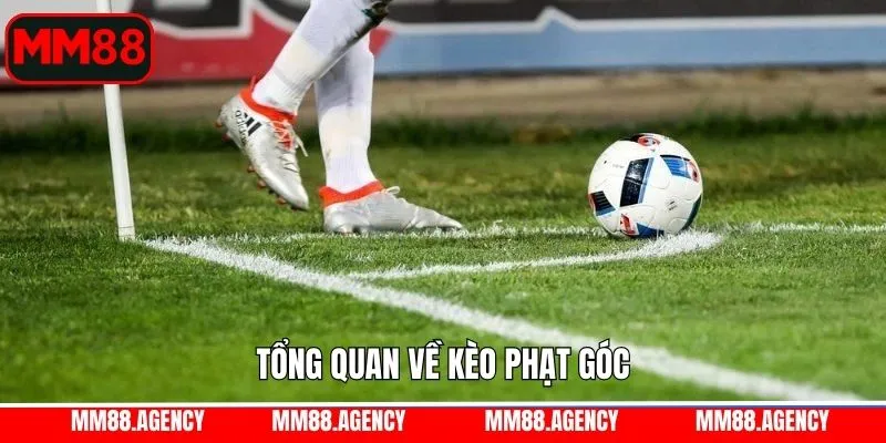 Sơ lược chi tiết về kèo cá cược tại MM88