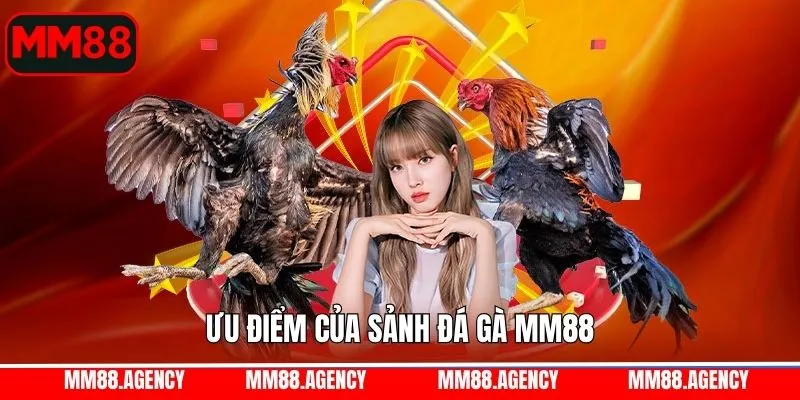 Tính an toàn, minh bạch tại đá gà MM88 Tính an toàn, minh bạch tại đá gà MM88